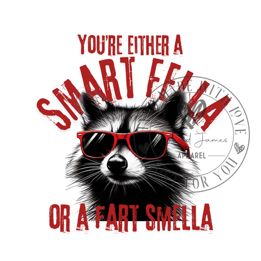 DIGITAL DOWNLOAD PNG | You'r either a smart fella or a fart smella | Raccoon | Feral Summer